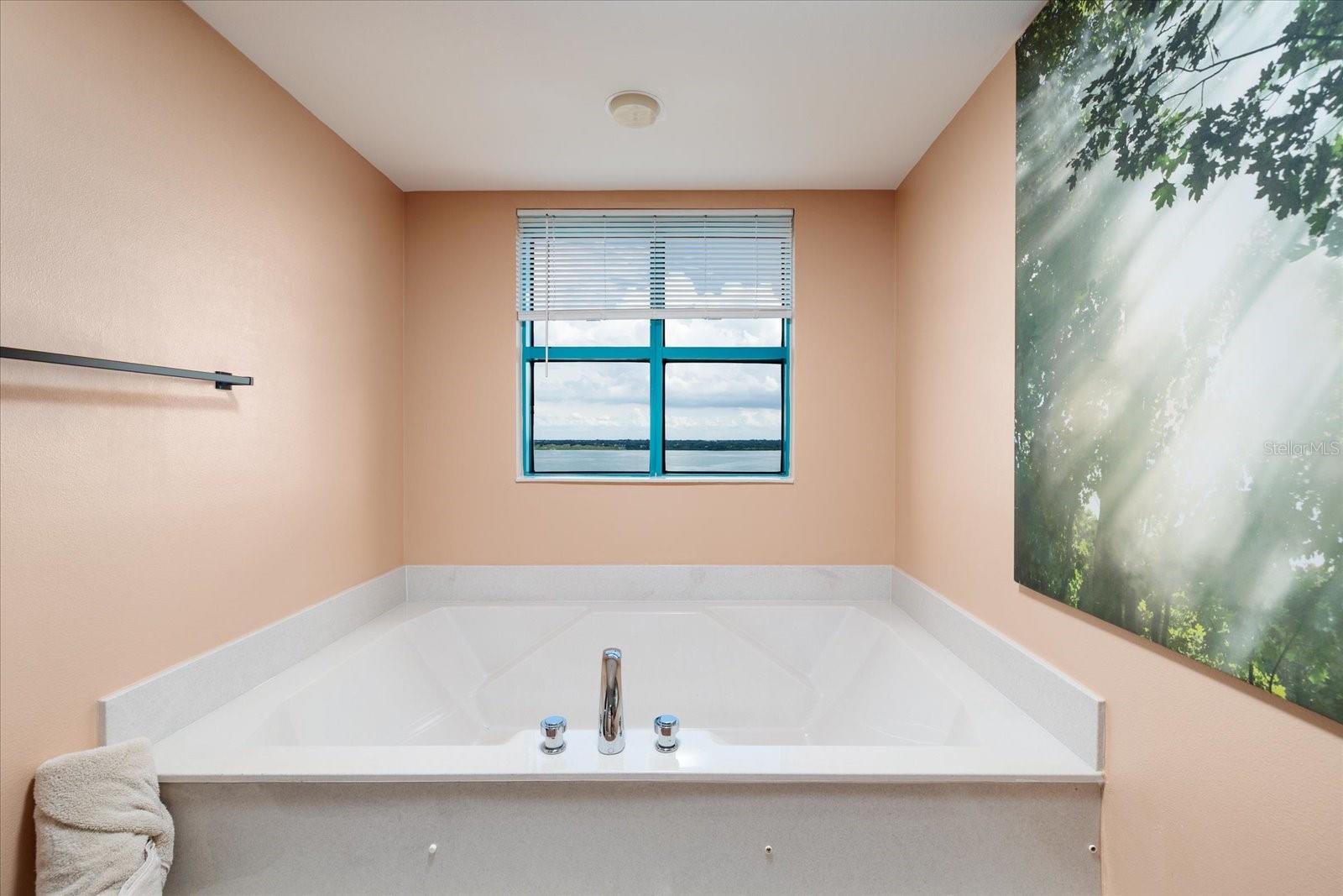 Image 34 of 67 For 1520 Gulf Boulevard 1606