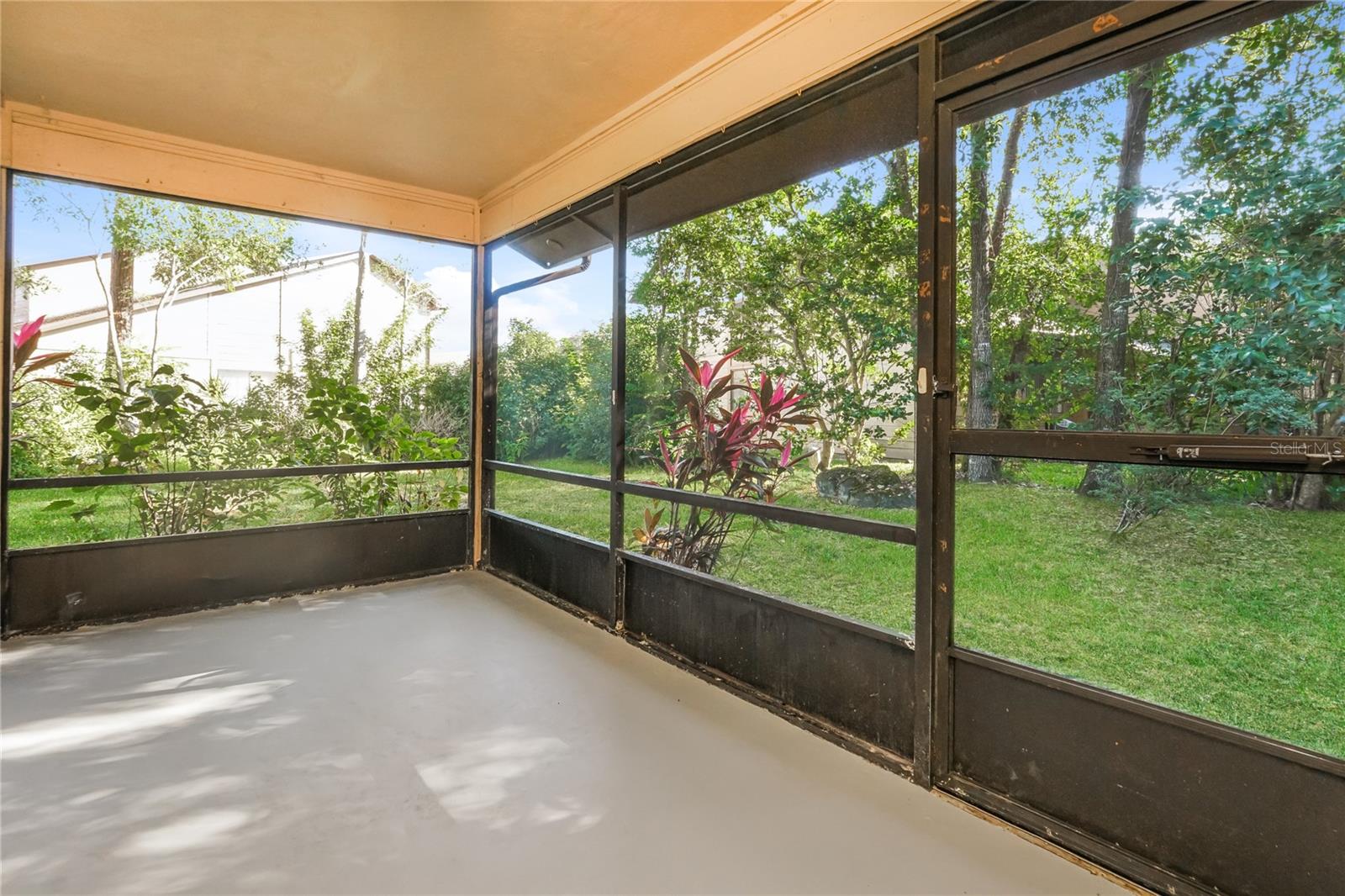 Image 16 of 18 For 97 Cotton Seed Trail