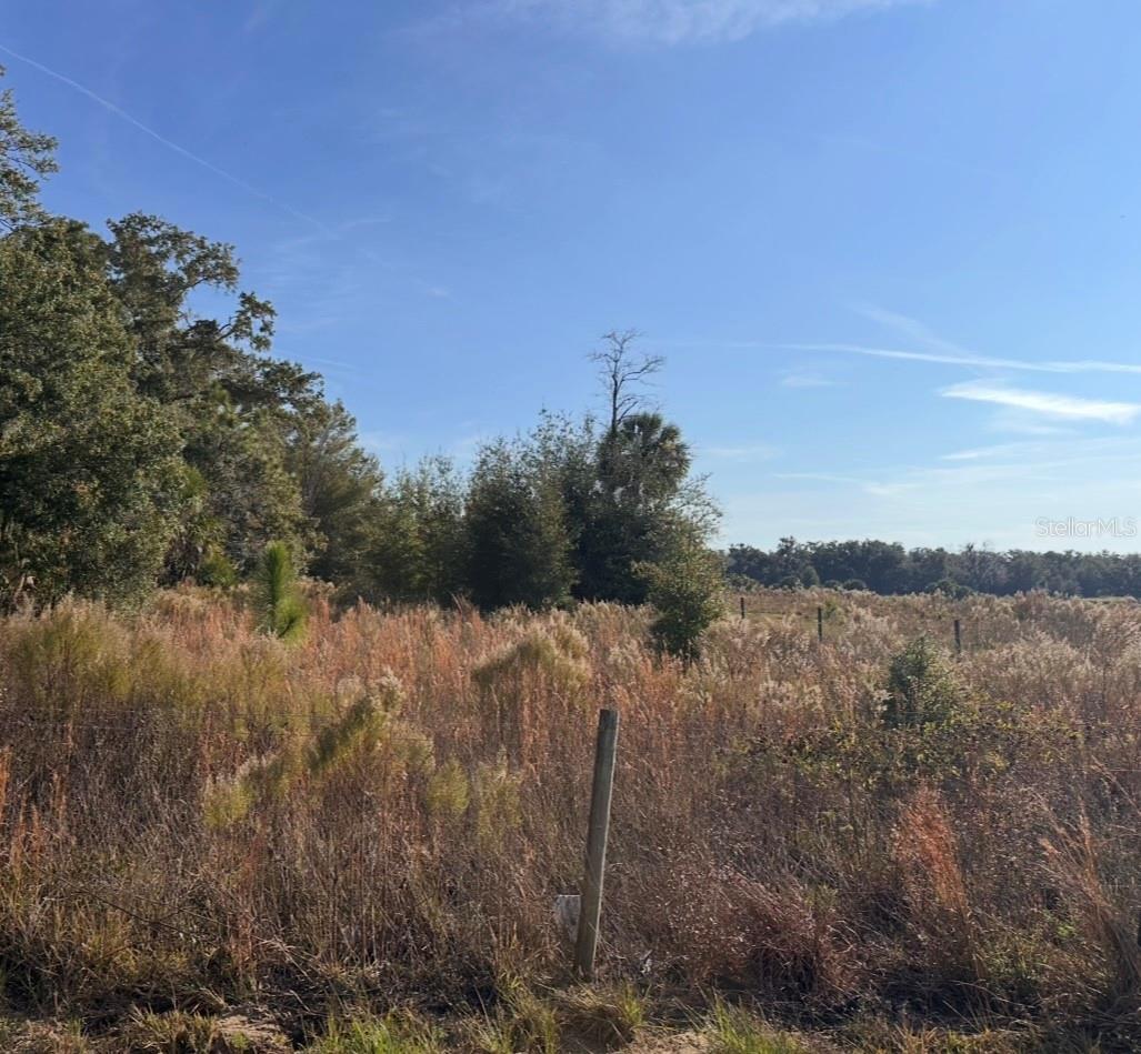 Image 10 of 10 For 1251 Maylen Avenue