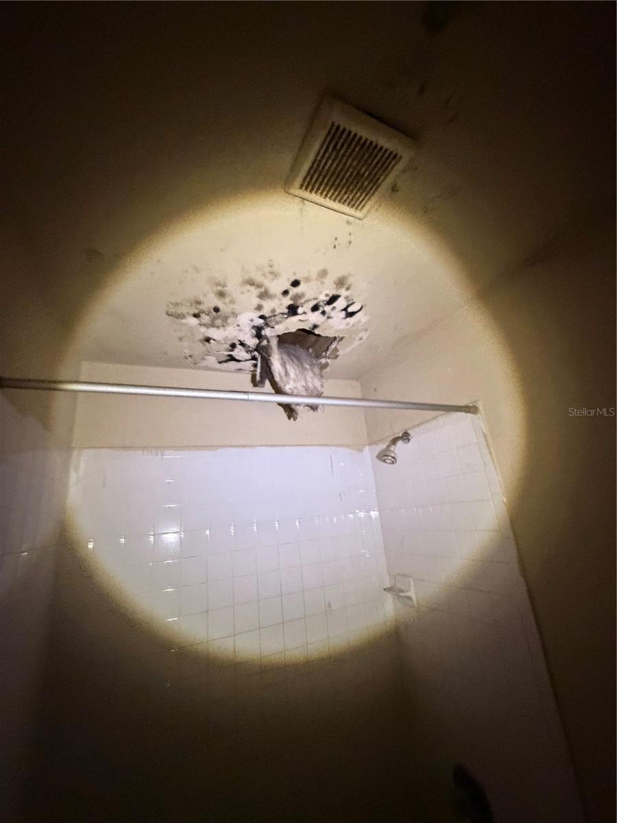 Image 2 of 6 For 1724 Mulberry Drive