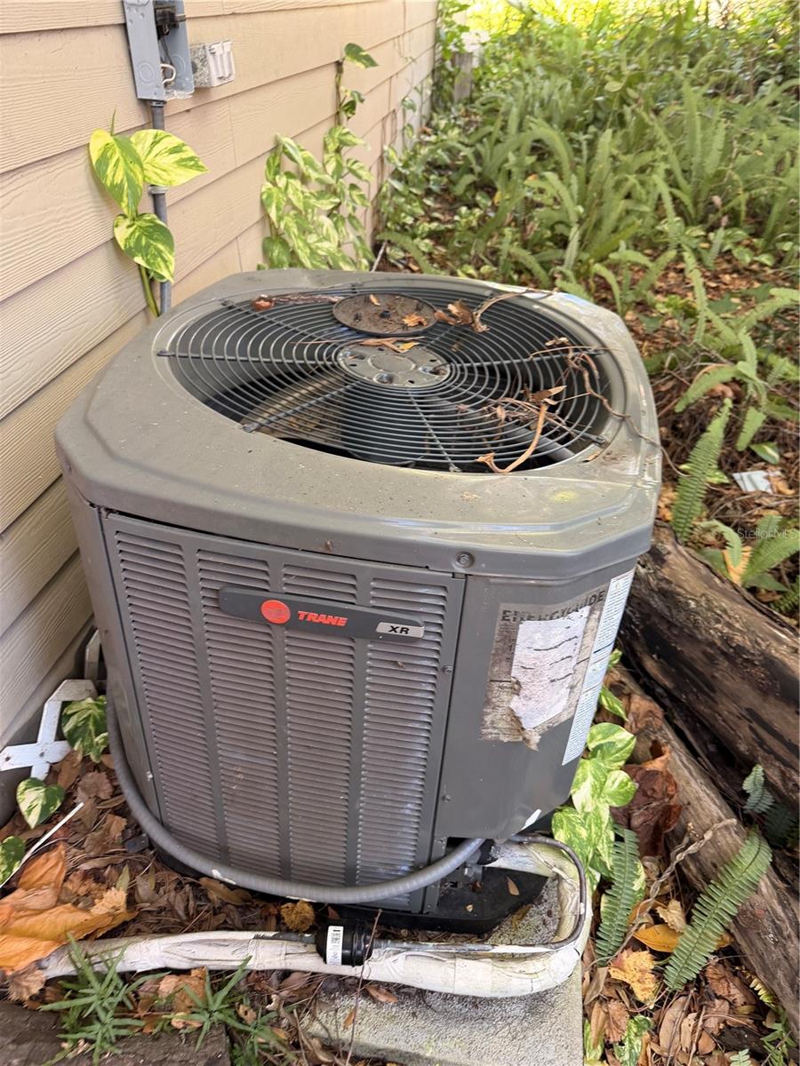 Image 23 of 24 For 1724 Mulberry Drive