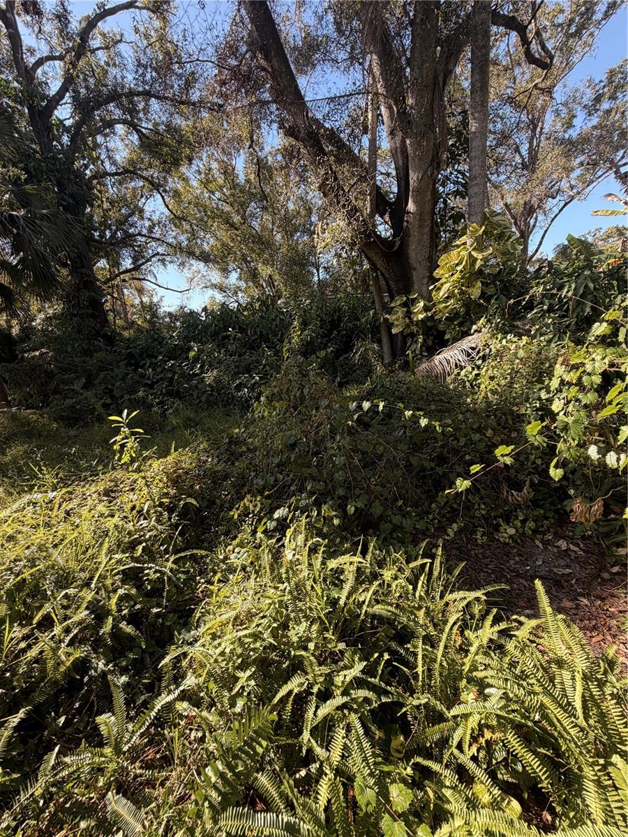 Image 24 of 24 For 1724 Mulberry Drive