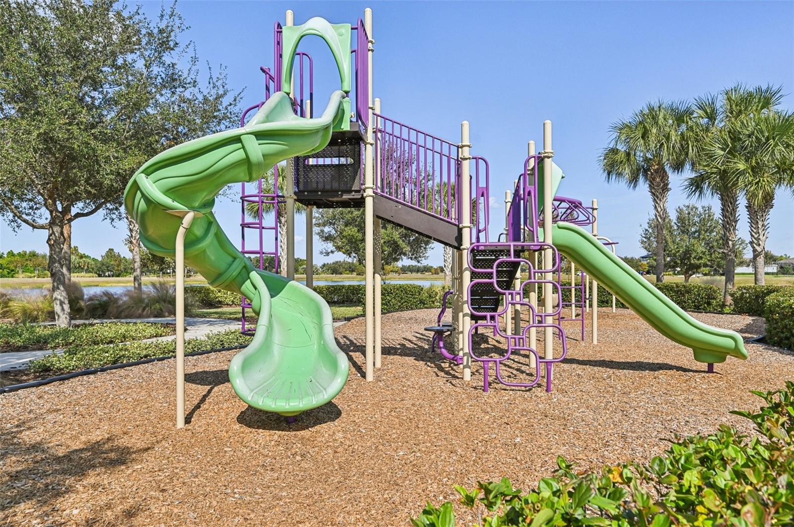 Image 35 of 36 For 7404 Futura Place