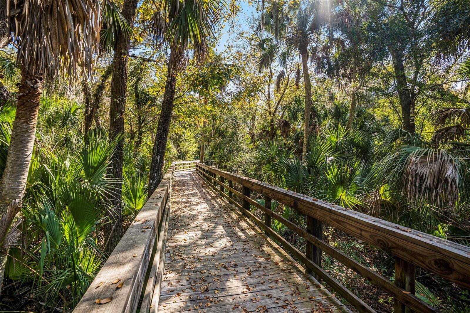 Image 29 of 29 For 1603 Vineyard Lane