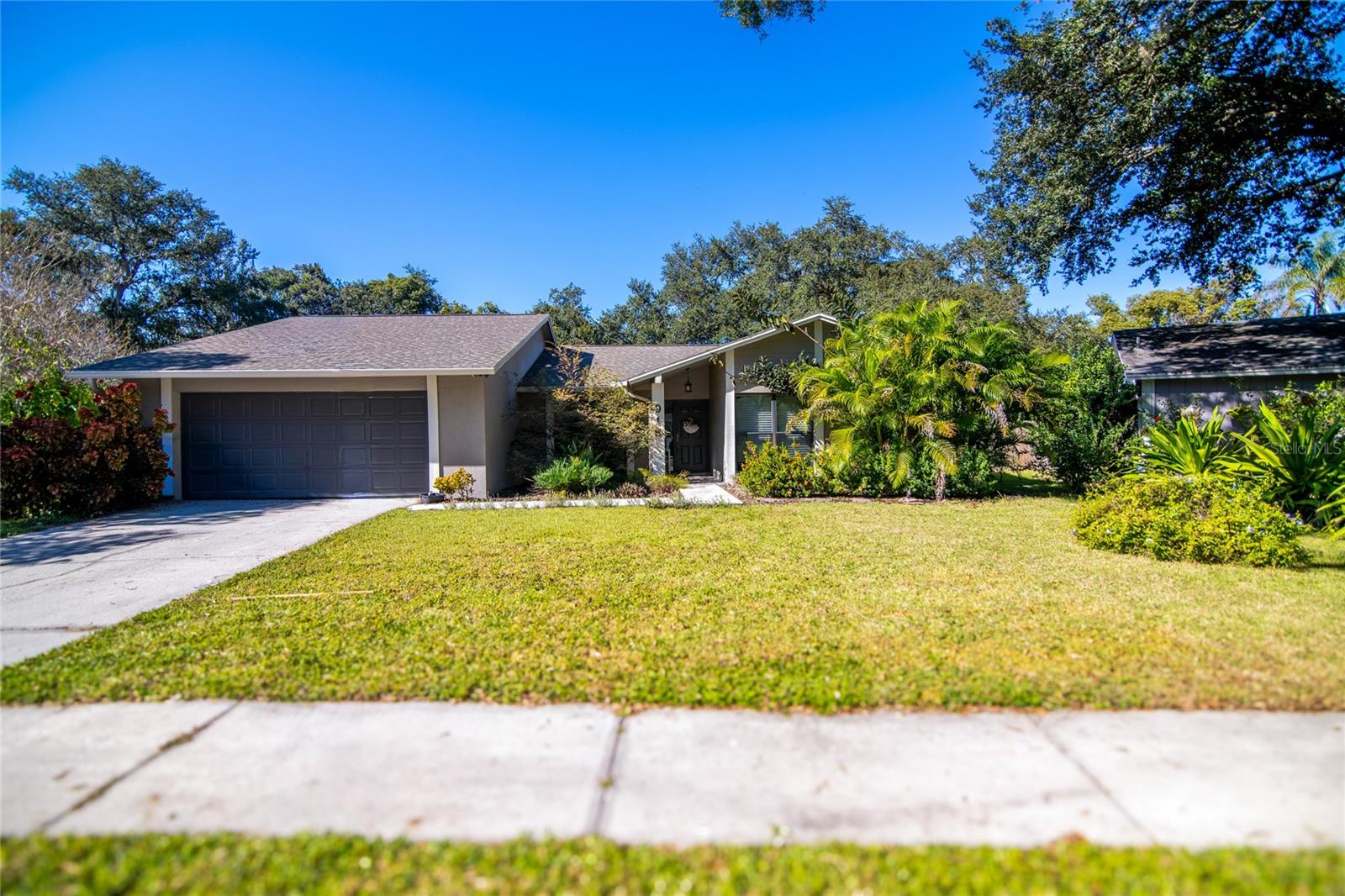 Details for 915 Woodleaf Way, TAMPA, FL 33613