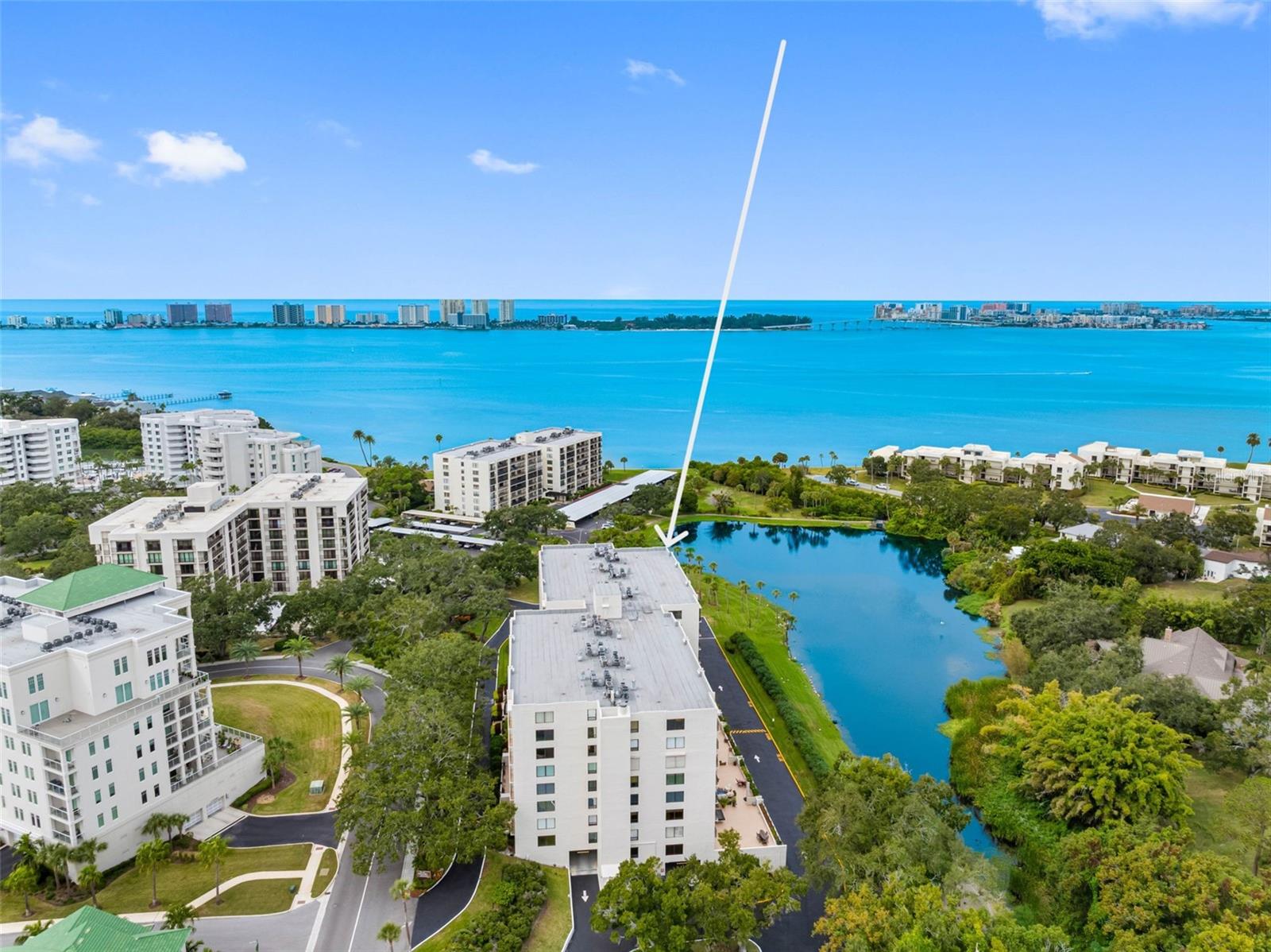 Image 2 of 45 For 220 Belleview Boulevard 609