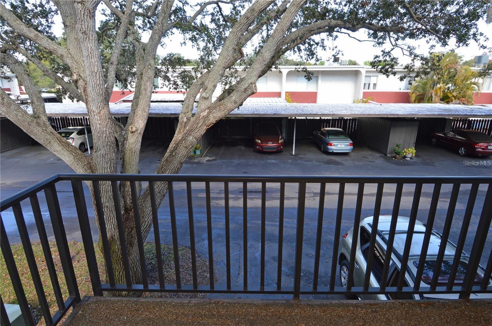 Image 55 of 81 For 2904 Lichen Lane D