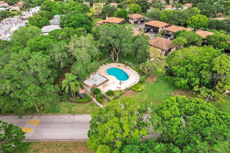 Image 66 of 81 For 2904 Lichen Lane D