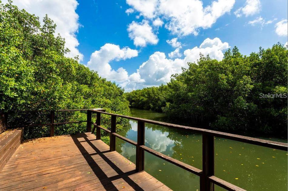 Image 69 of 81 For 2904 Lichen Lane D