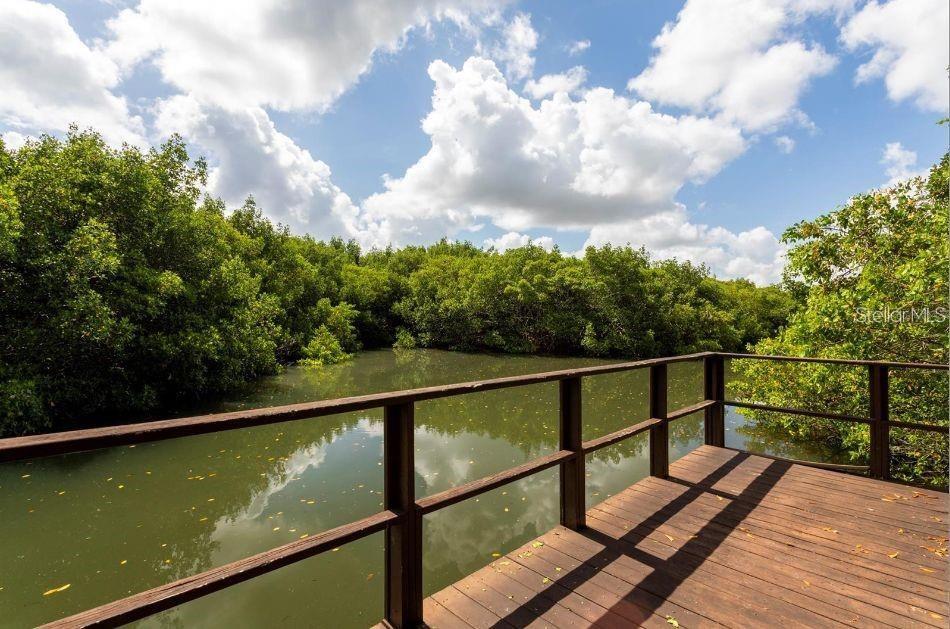 Image 71 of 81 For 2904 Lichen Lane D