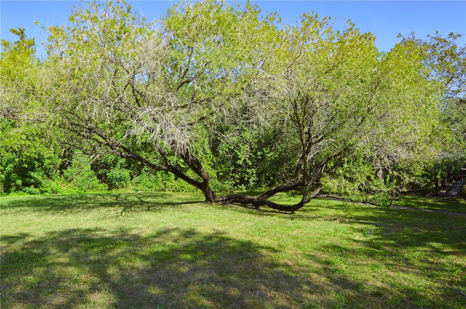 Image 76 of 81 For 2904 Lichen Lane D