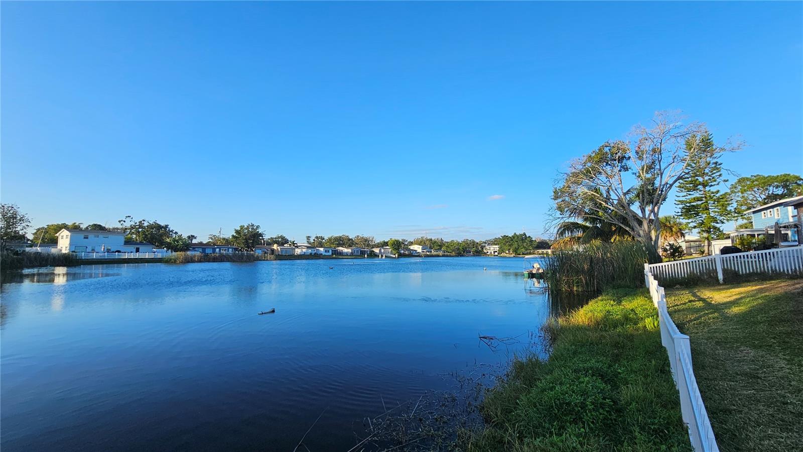 Listing photo id 52 for 1416 83rd Avenue N