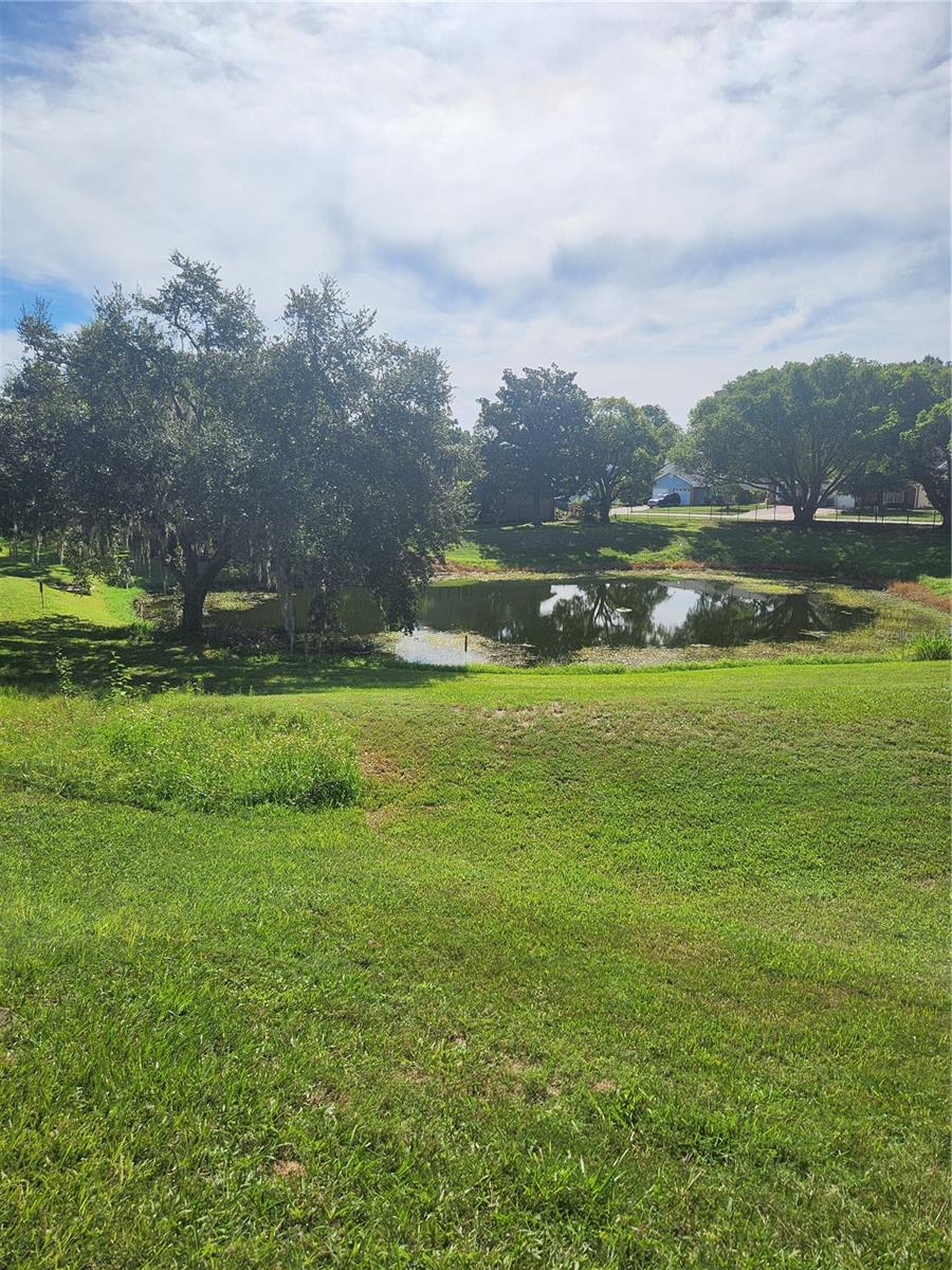 Image 22 of 24 For 2897 Thaxton Drive 63