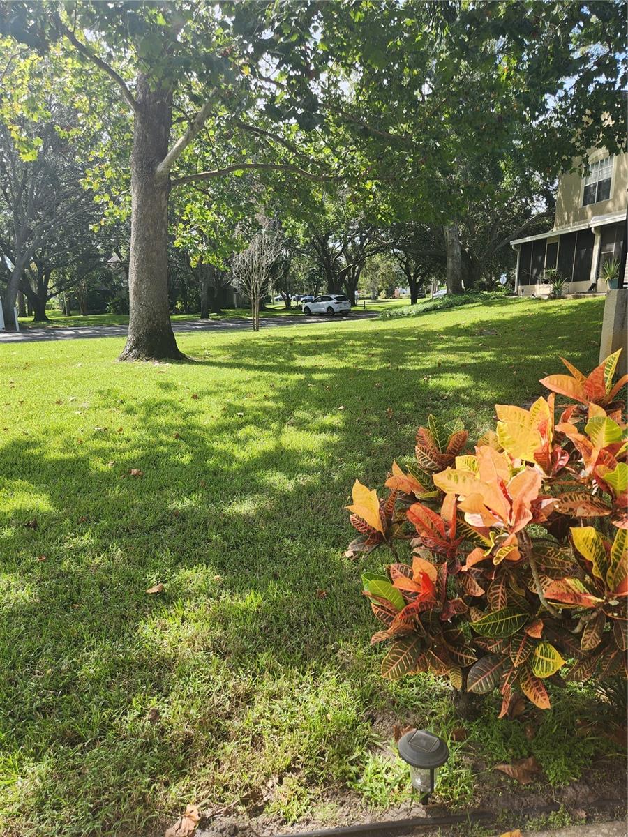 Image 3 of 24 For 2897 Thaxton Drive 63