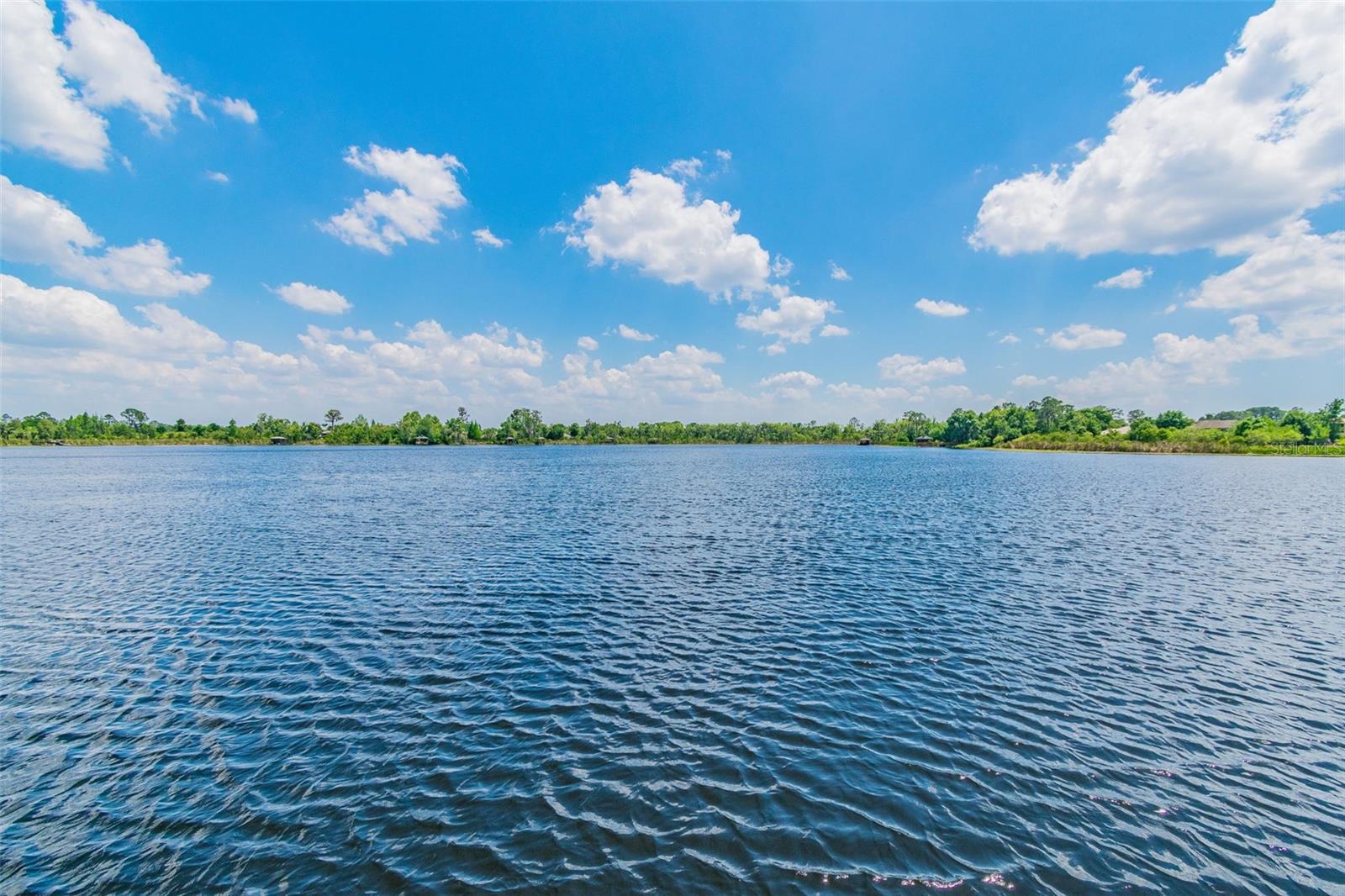 Image 56 of 72 For 21753 Garden Walk Loop