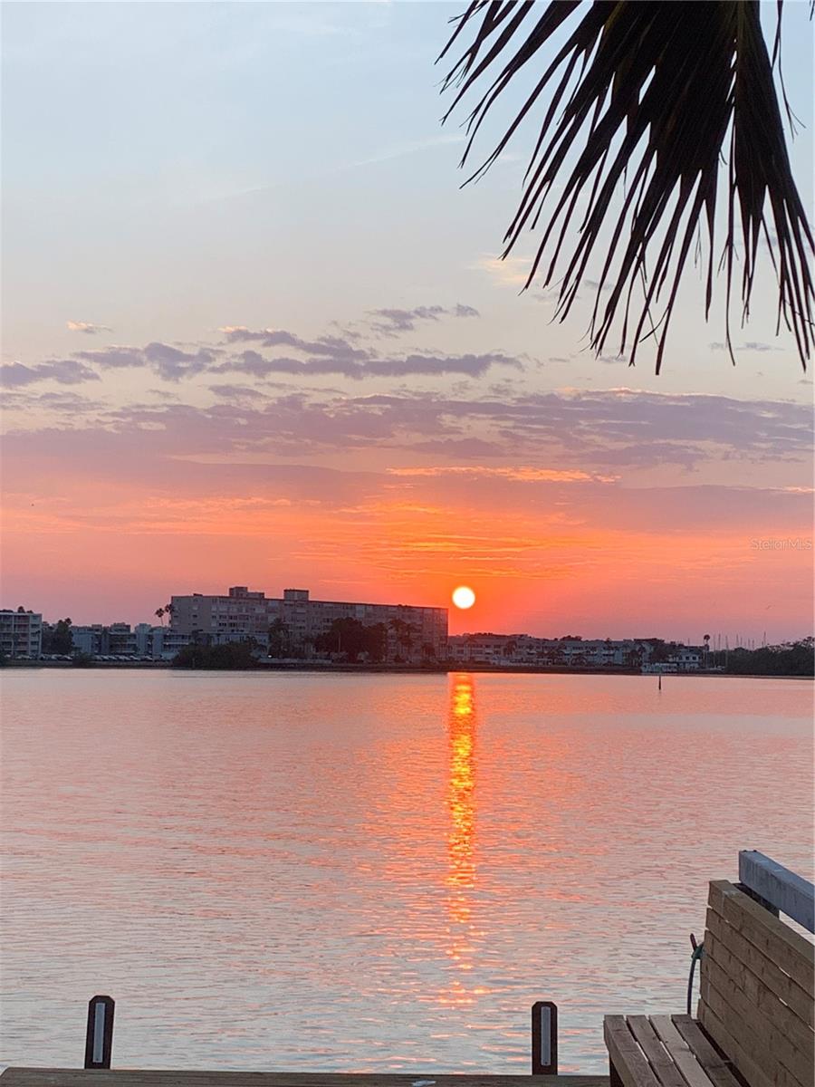 Image 14 of 15 For 1898 Dolphin Boulevard S