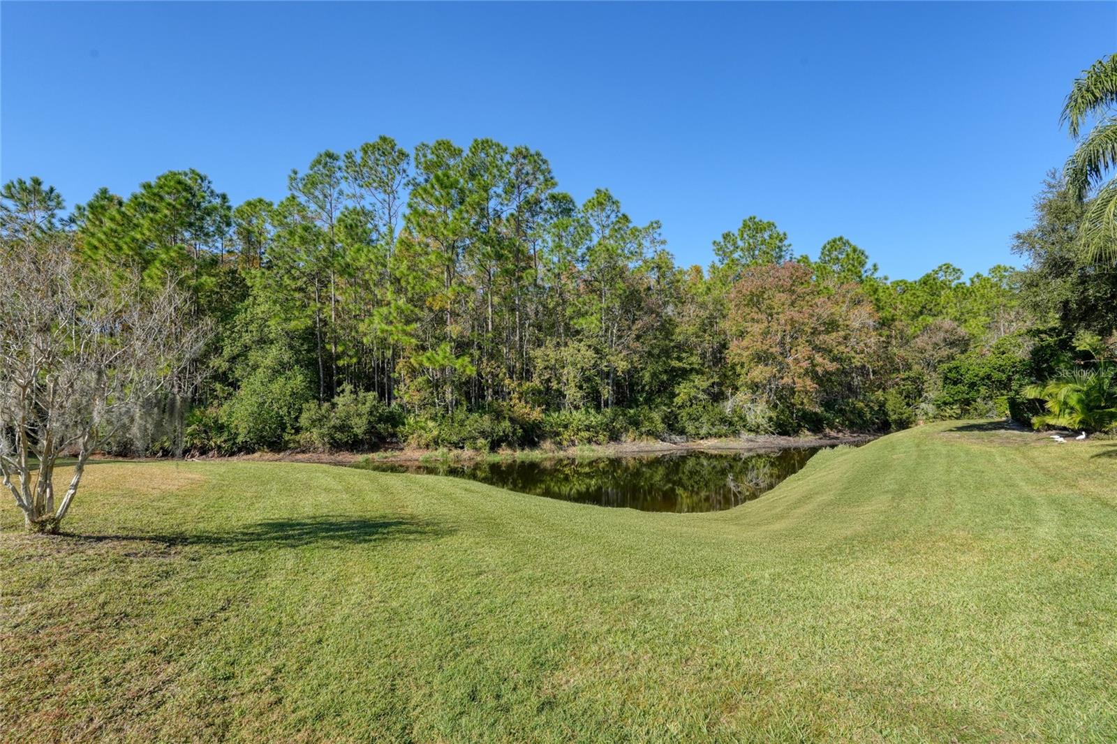 Image 6 of 42 For 15404 Sir Maxwell Court