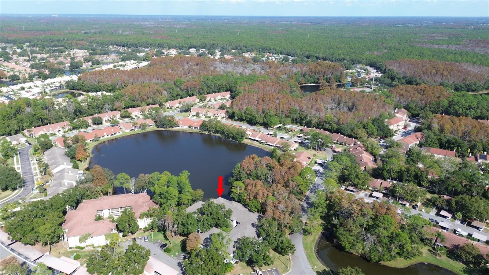 Image 2 of 67 For 3399 Mermoor Drive 207