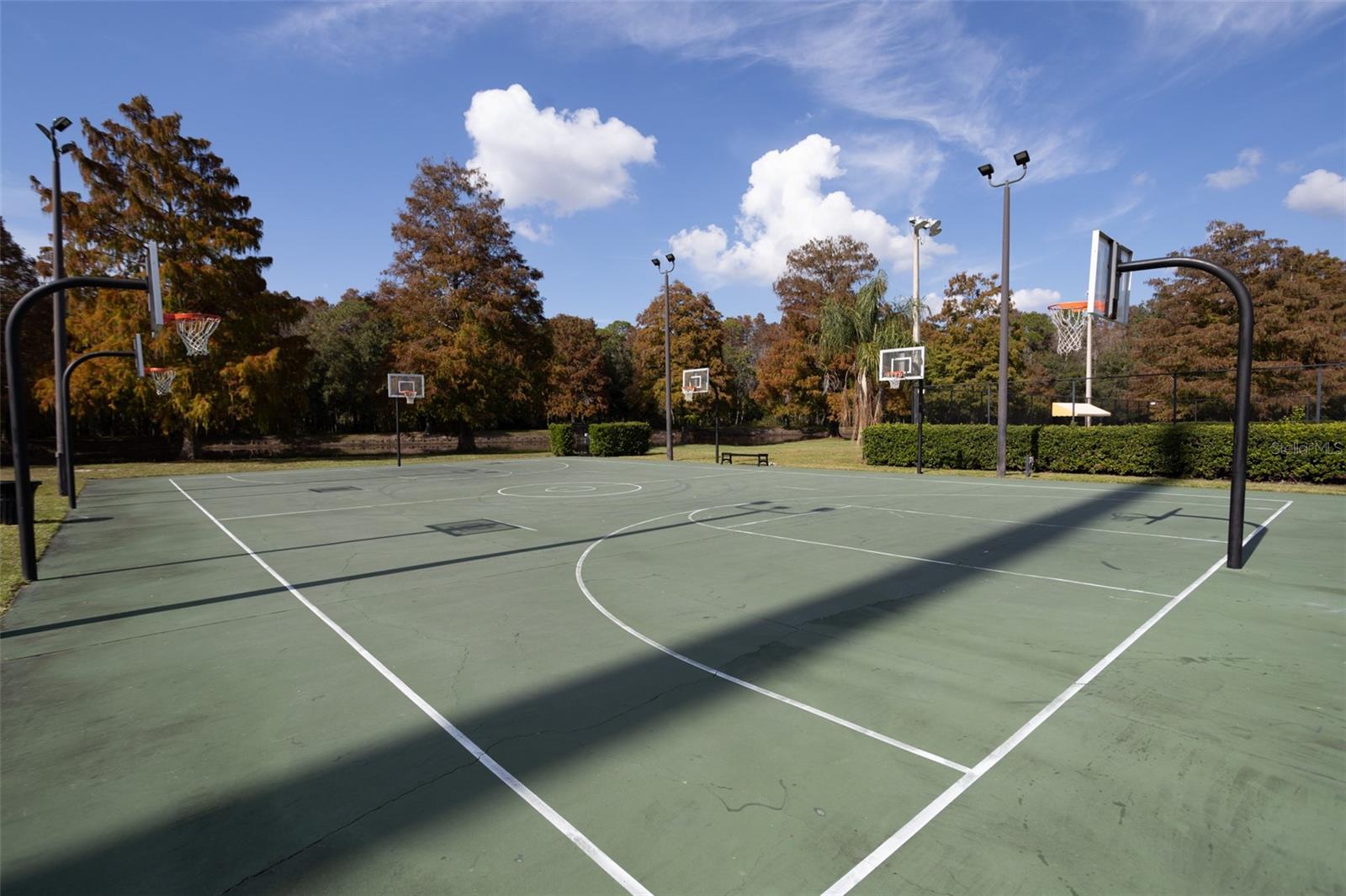 Image 46 of 67 For 3399 Mermoor Drive 207