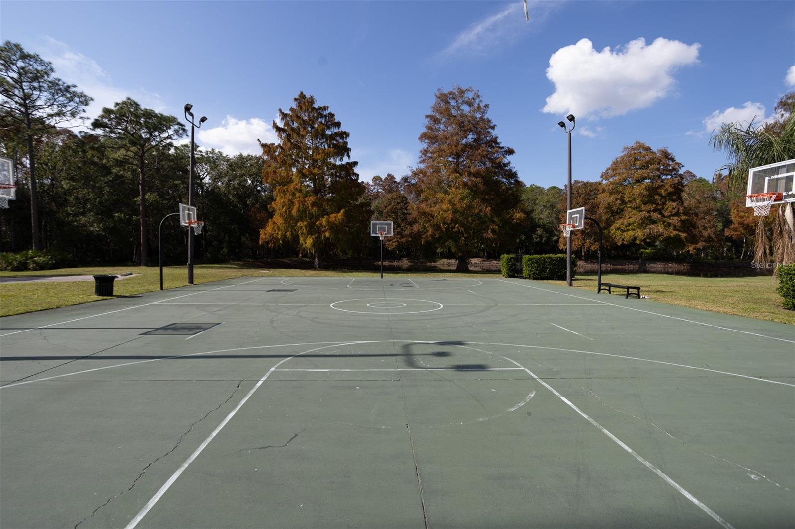 Image 47 of 67 For 3399 Mermoor Drive 207