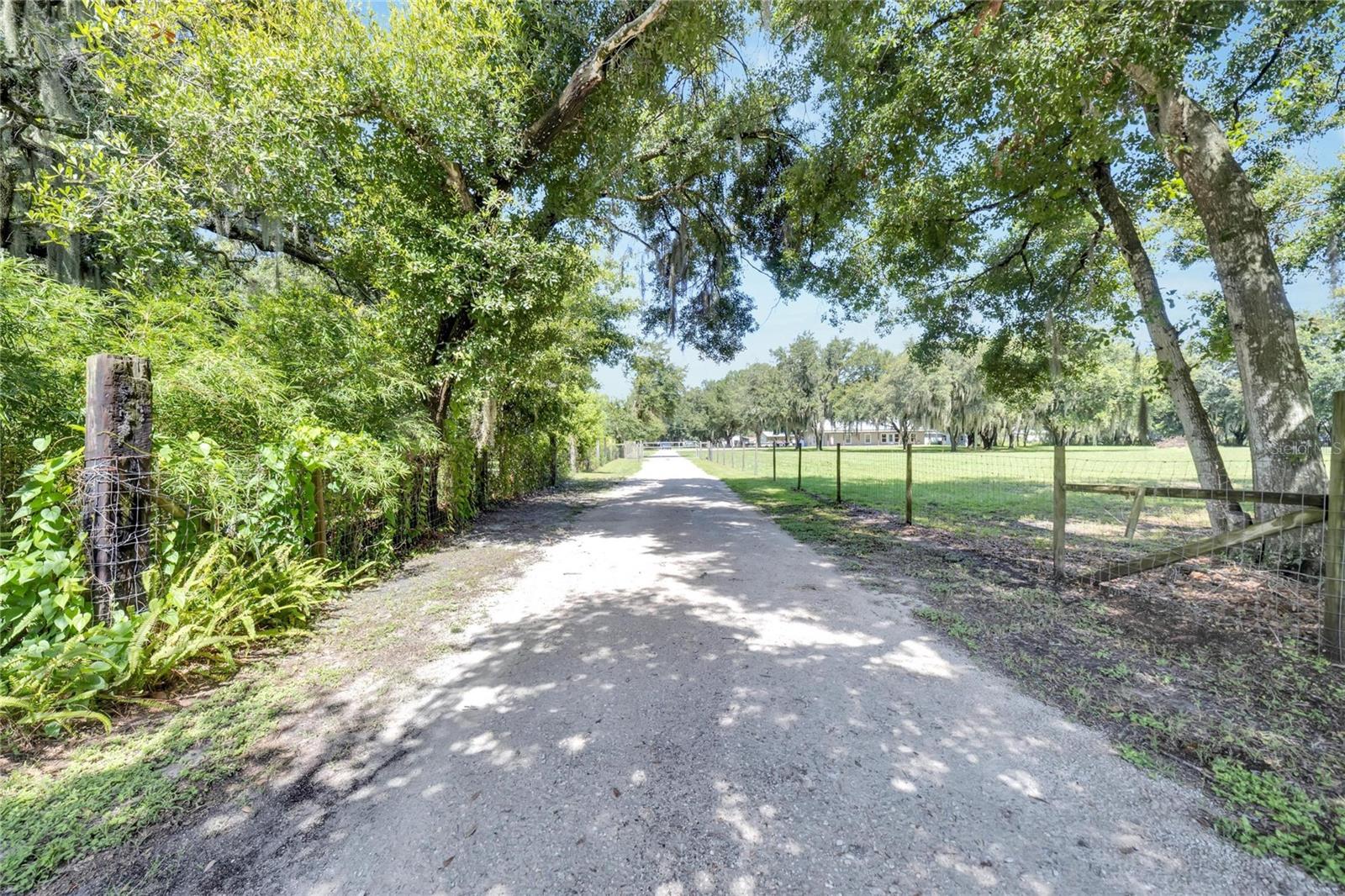 Image 39 of 99 For 9017 County Line Road