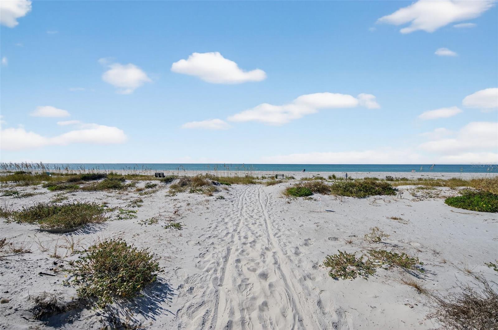 Image 42 of 81 For 3200 Gulf Boulevard 203