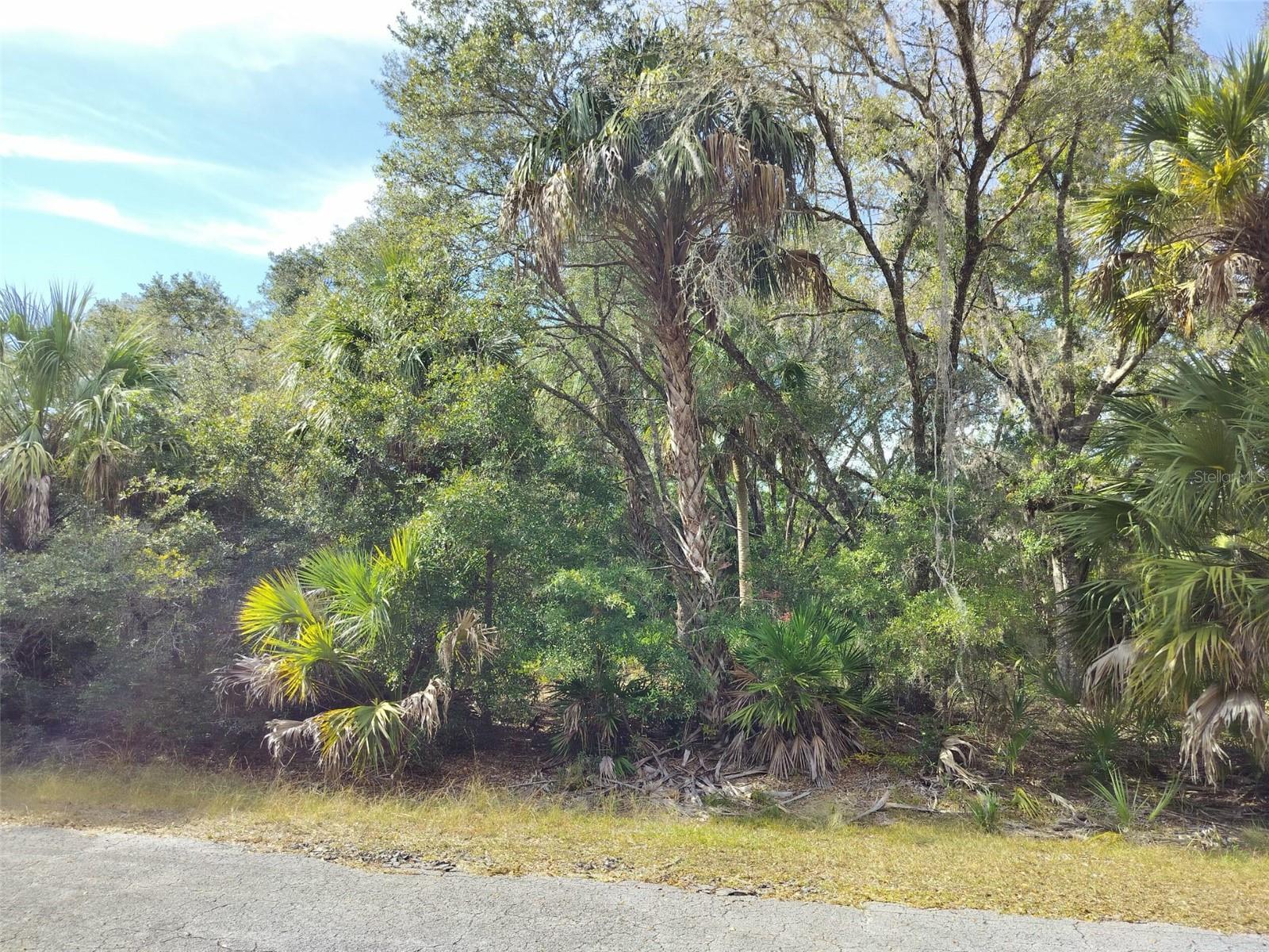 Image 11 of 23 For 9999 Snowball Point