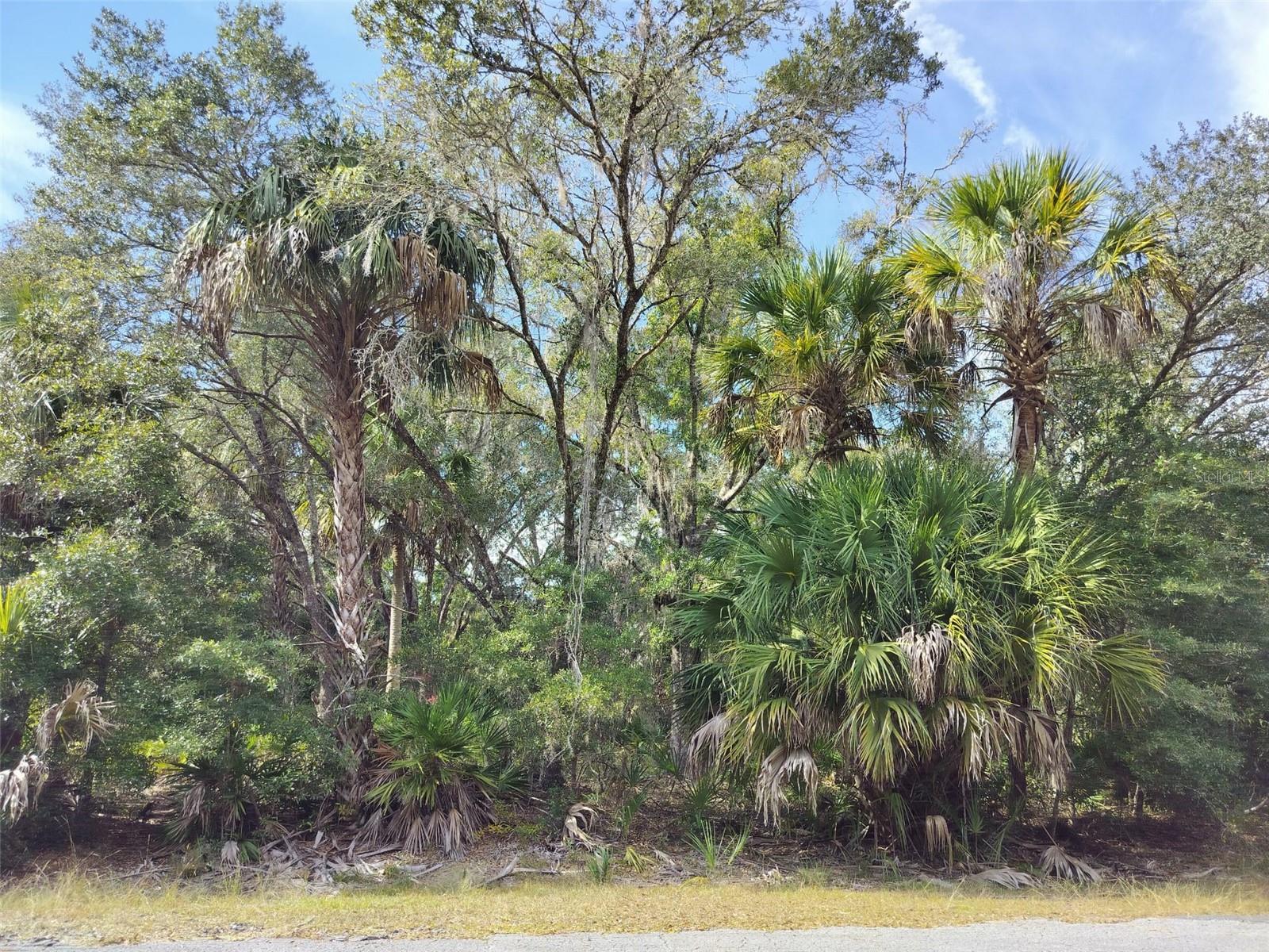 Image 13 of 23 For 9999 Snowball Point