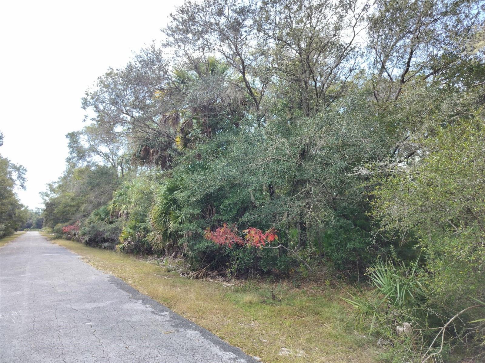 Image 14 of 23 For 9999 Snowball Point