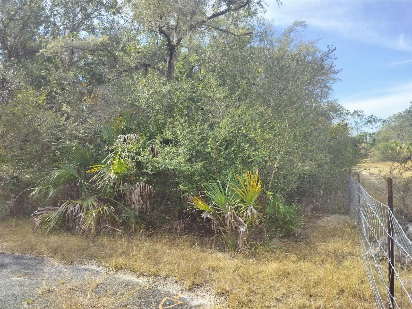 Image 15 of 23 For 9999 Snowball Point