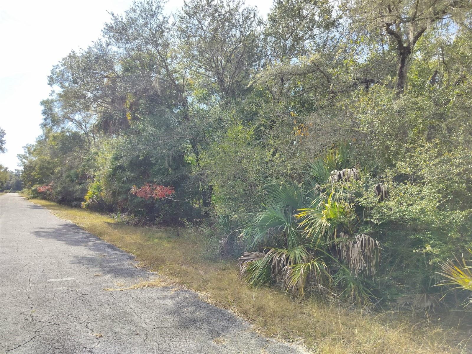 Image 17 of 23 For 9999 Snowball Point