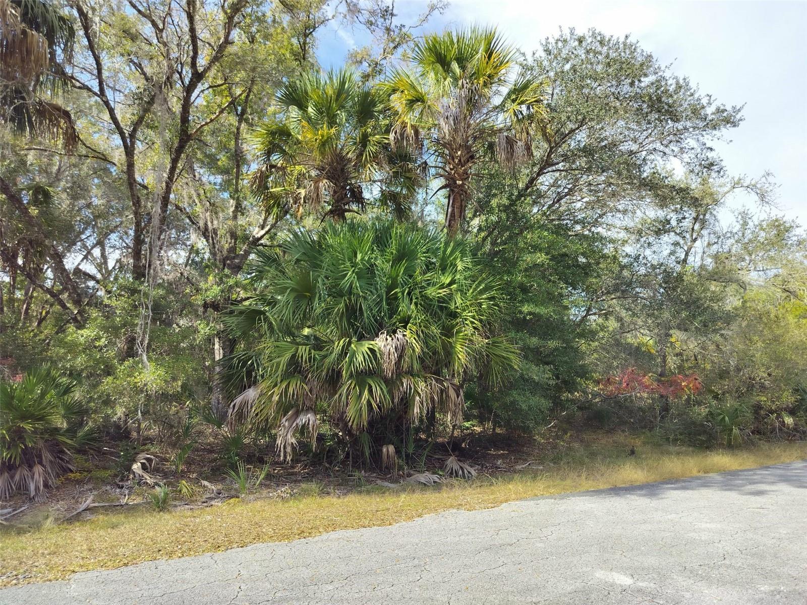 Image 18 of 23 For 9999 Snowball Point