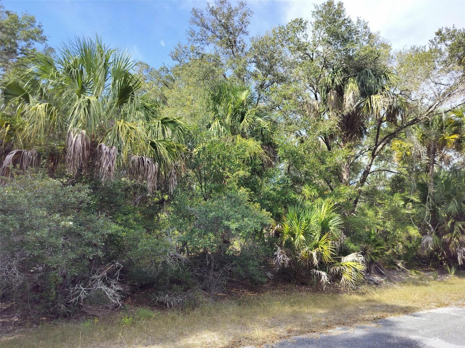 Image 19 of 23 For 9999 Snowball Point