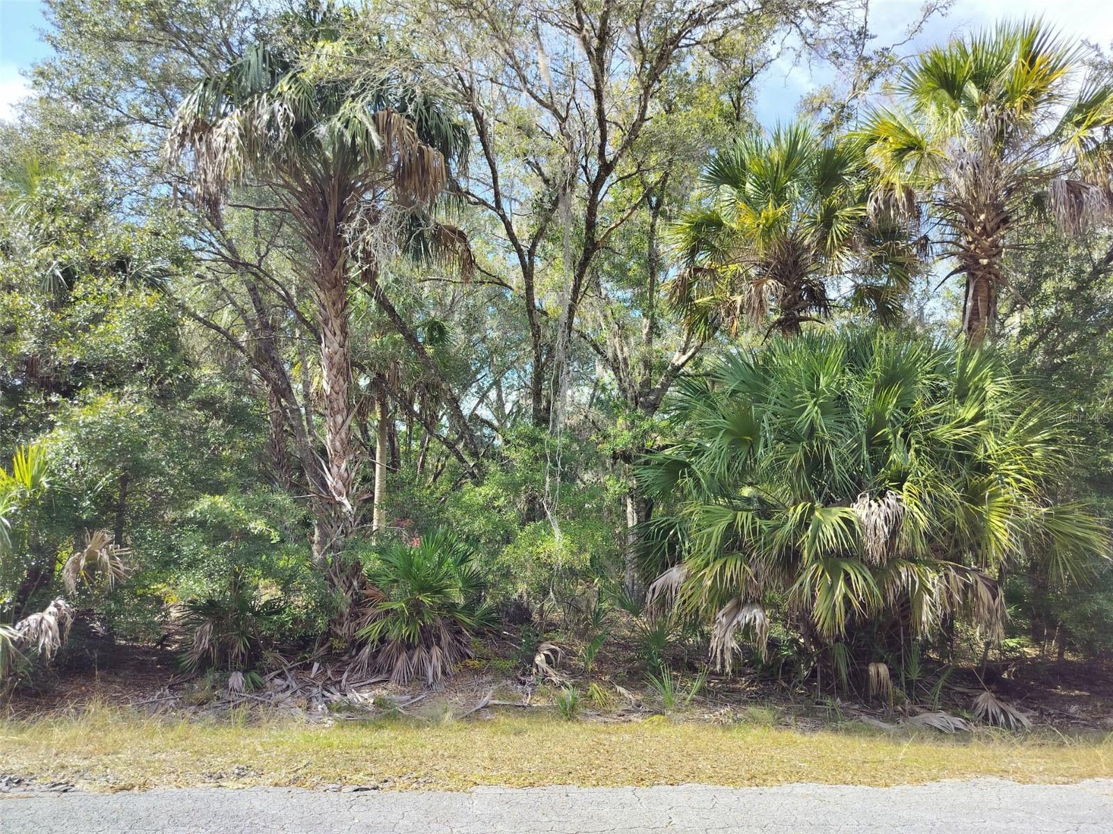 Image 2 of 23 For 9999 Snowball Point