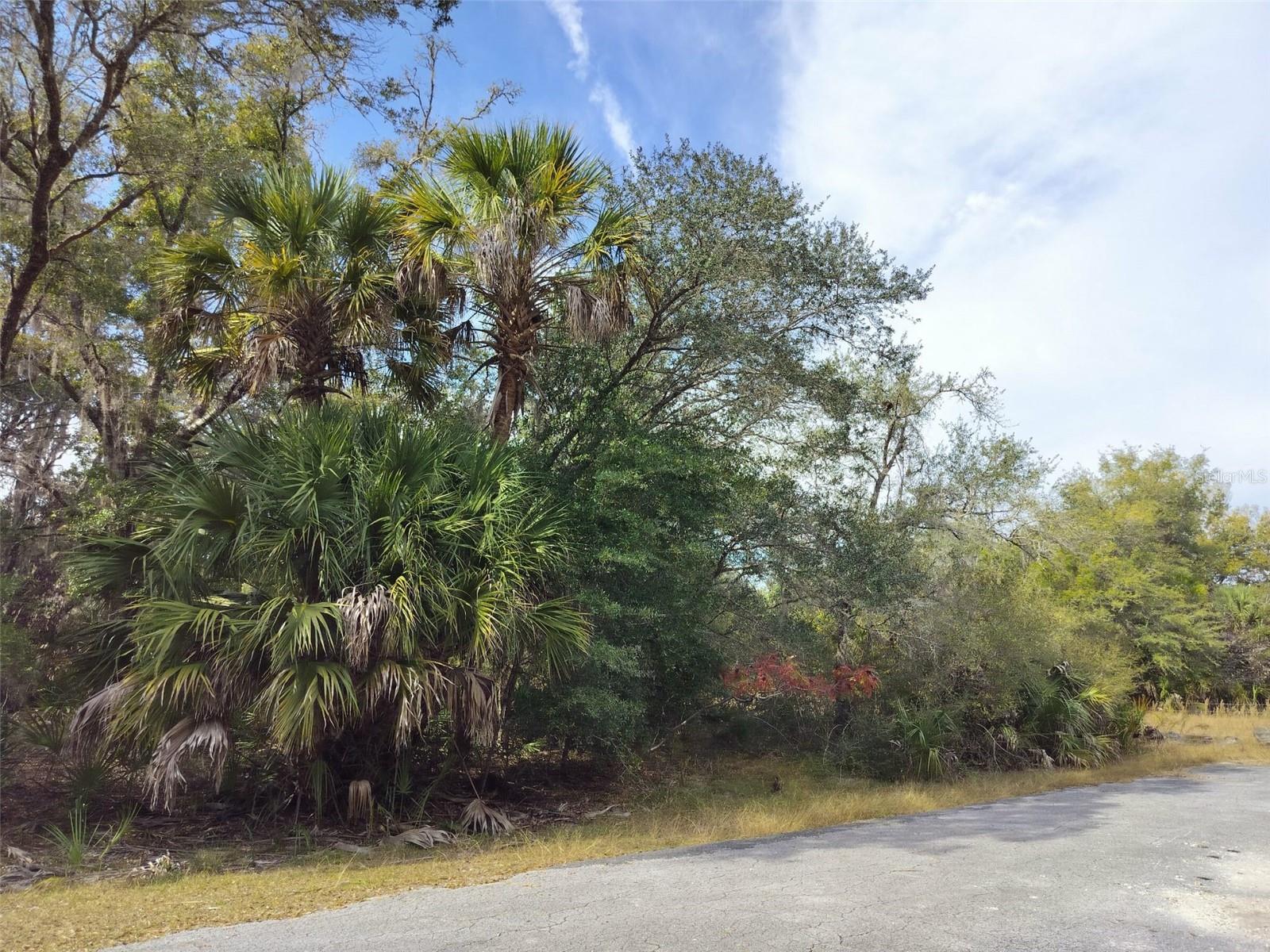 Image 20 of 23 For 9999 Snowball Point