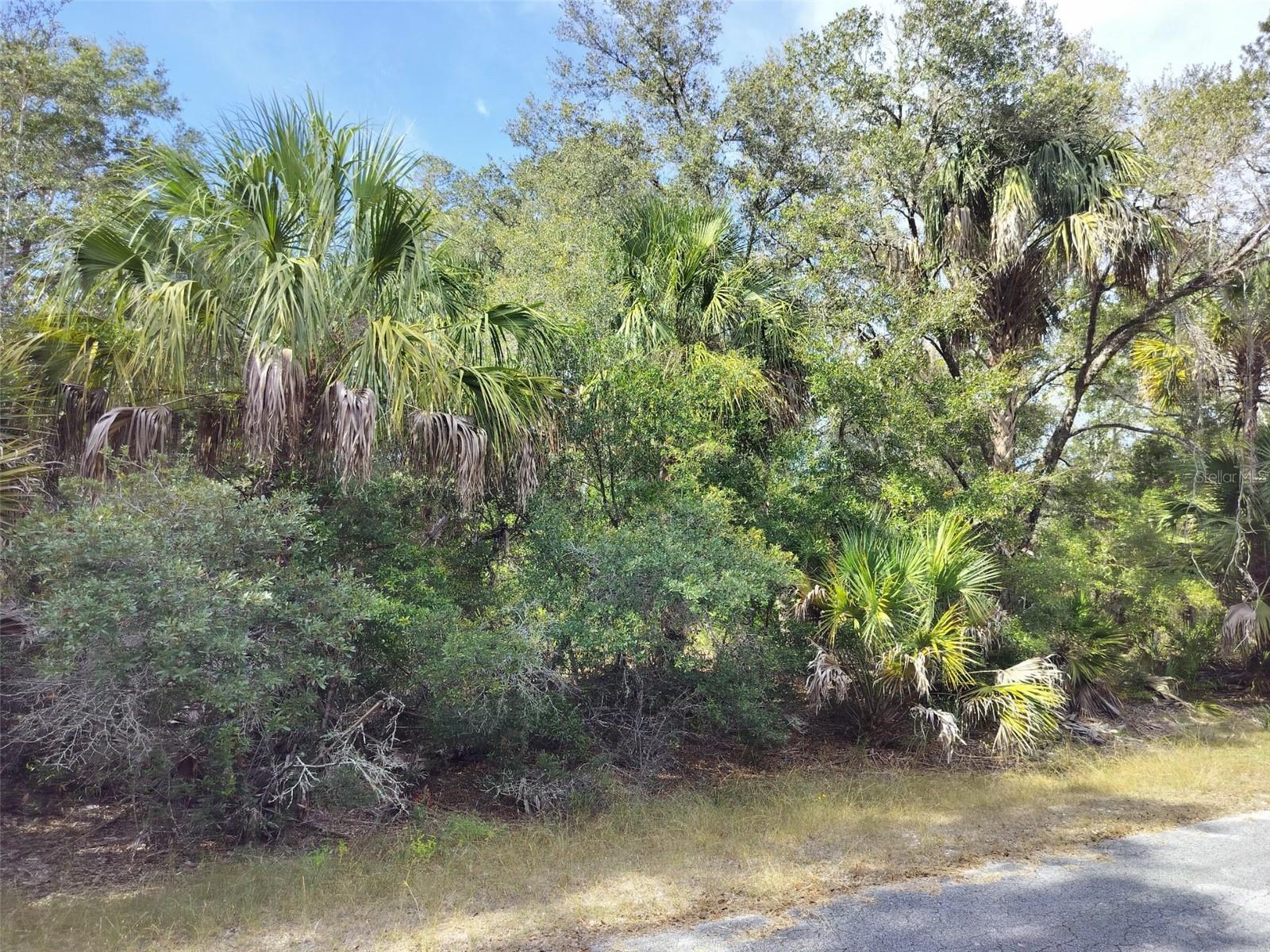 Image 21 of 23 For 9999 Snowball Point