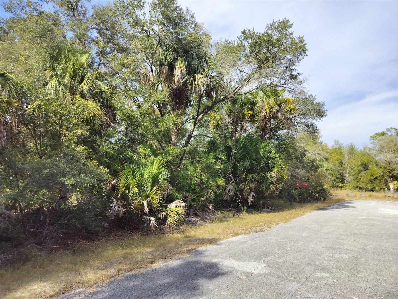 Image 22 of 23 For 9999 Snowball Point