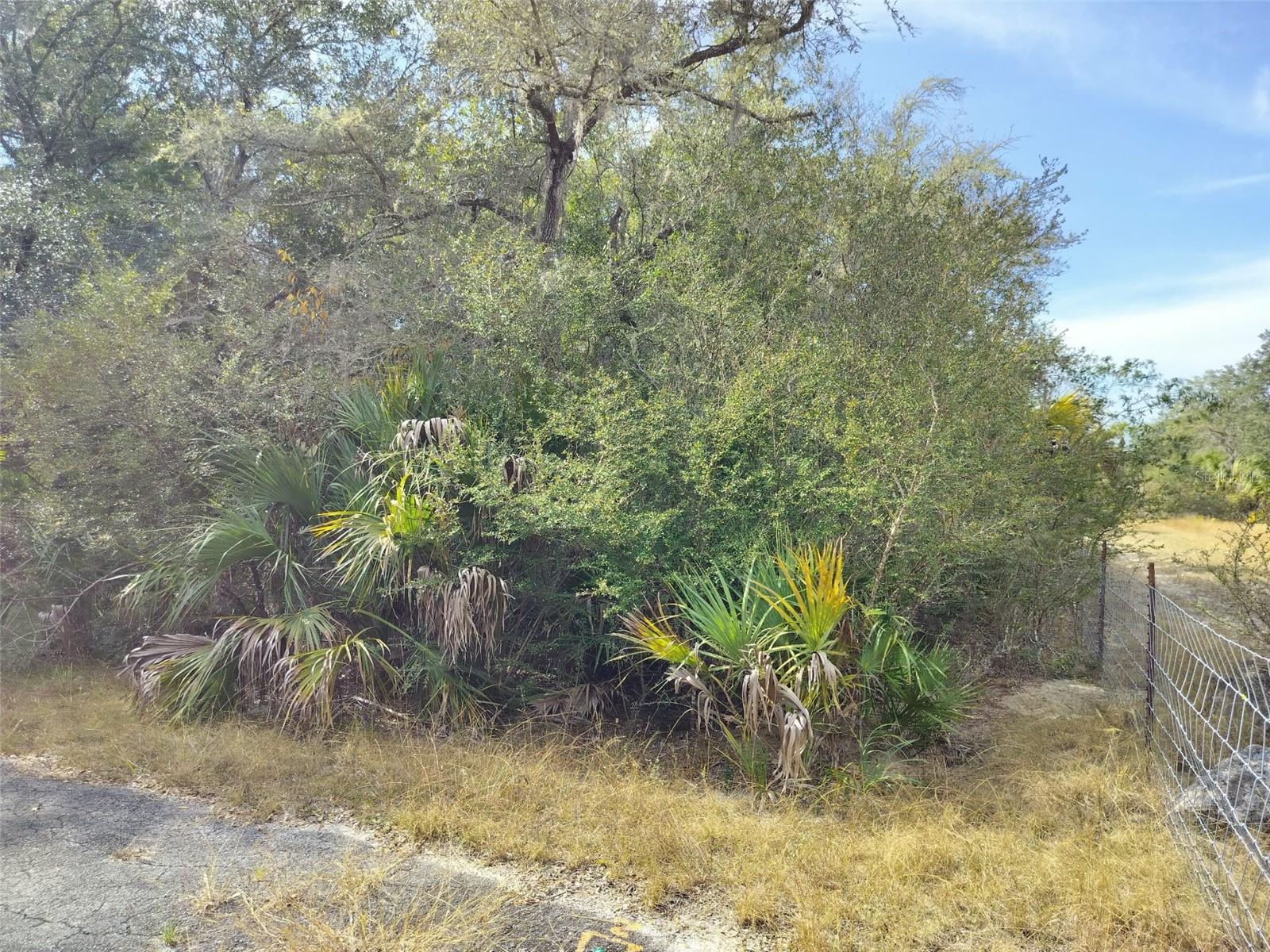 Image 23 of 23 For 9999 Snowball Point