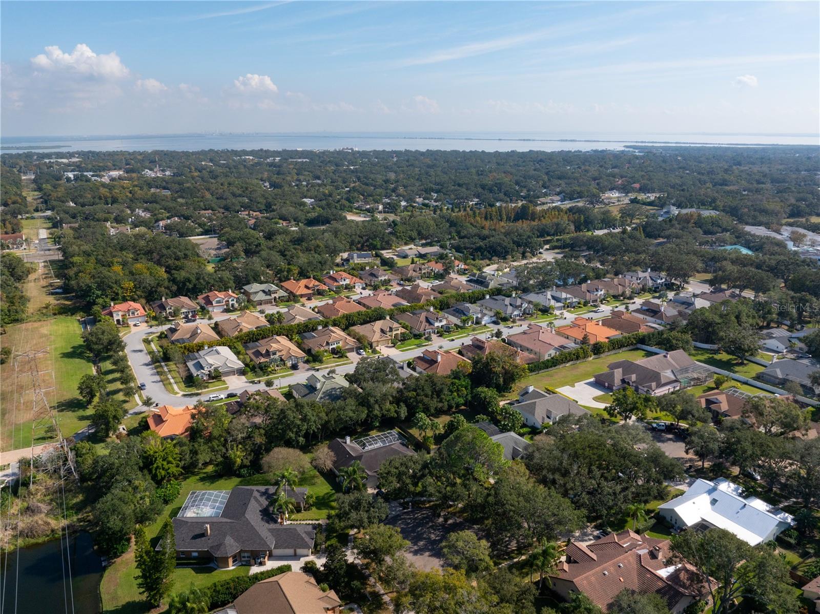 Image 43 of 44 For 2166 Scarlet Oaks Street