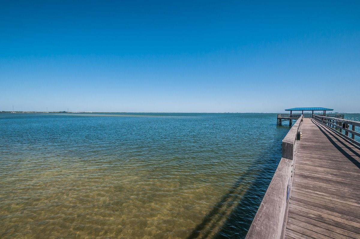 Image 69 of 94 For 975 Harbor Hill Drive