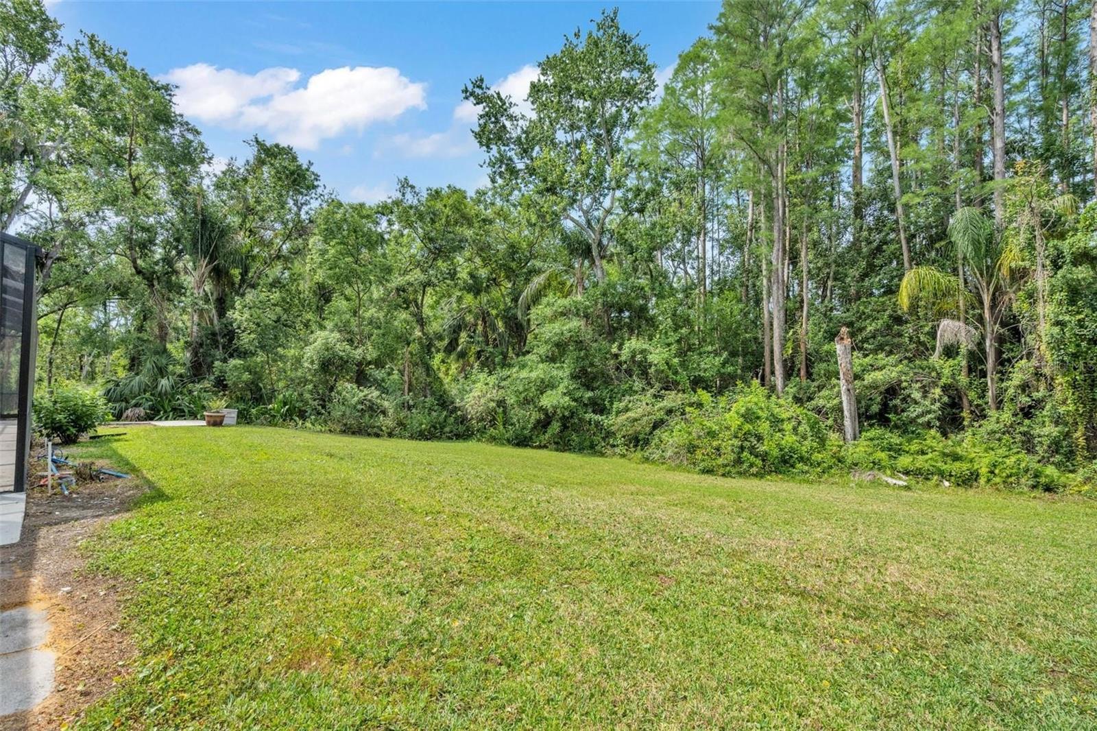 Image 46 of 50 For 4520 Pine Hollow Drive