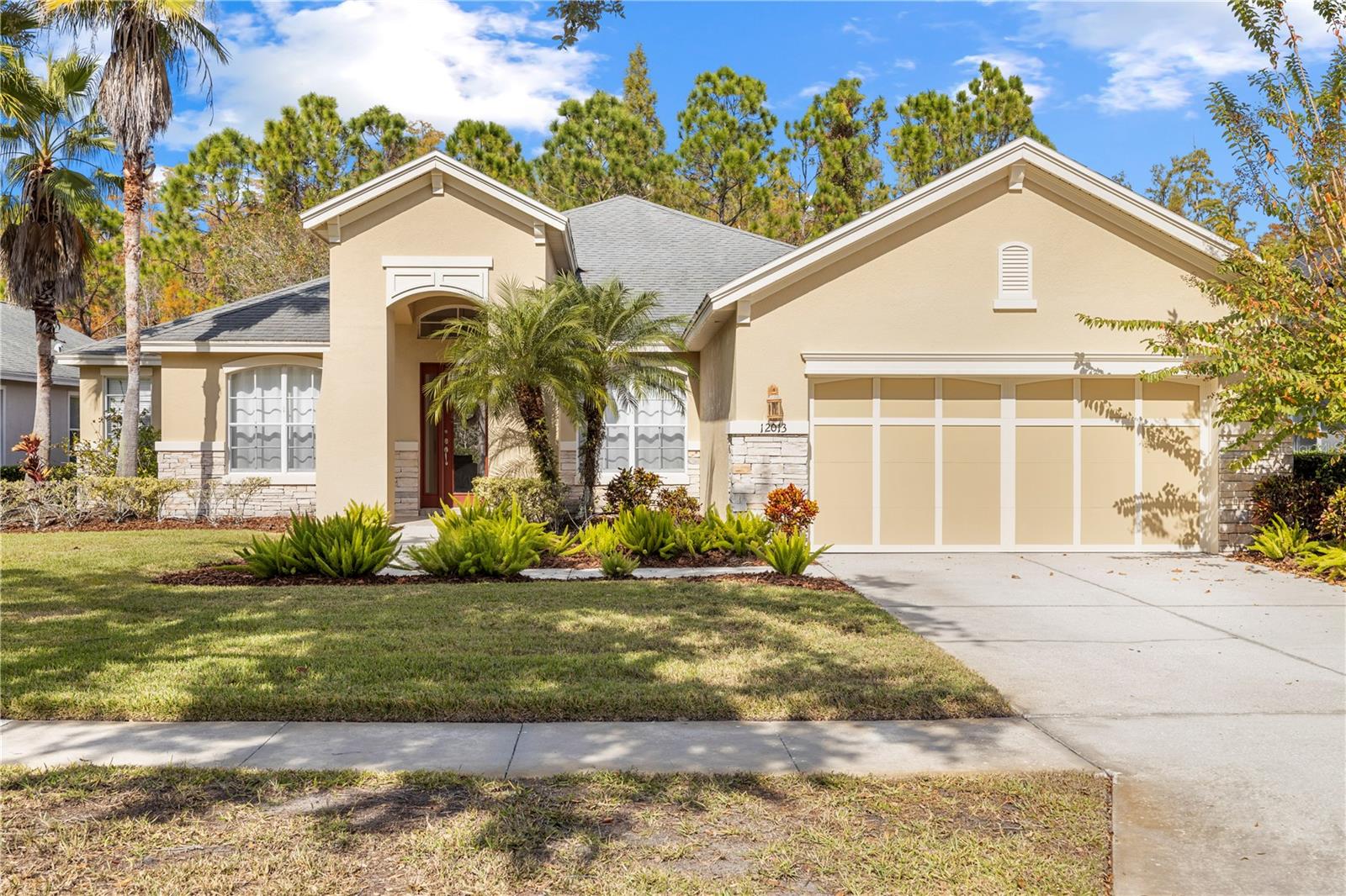 Details for 12013 Meridian Point Drive, TAMPA, FL 33626