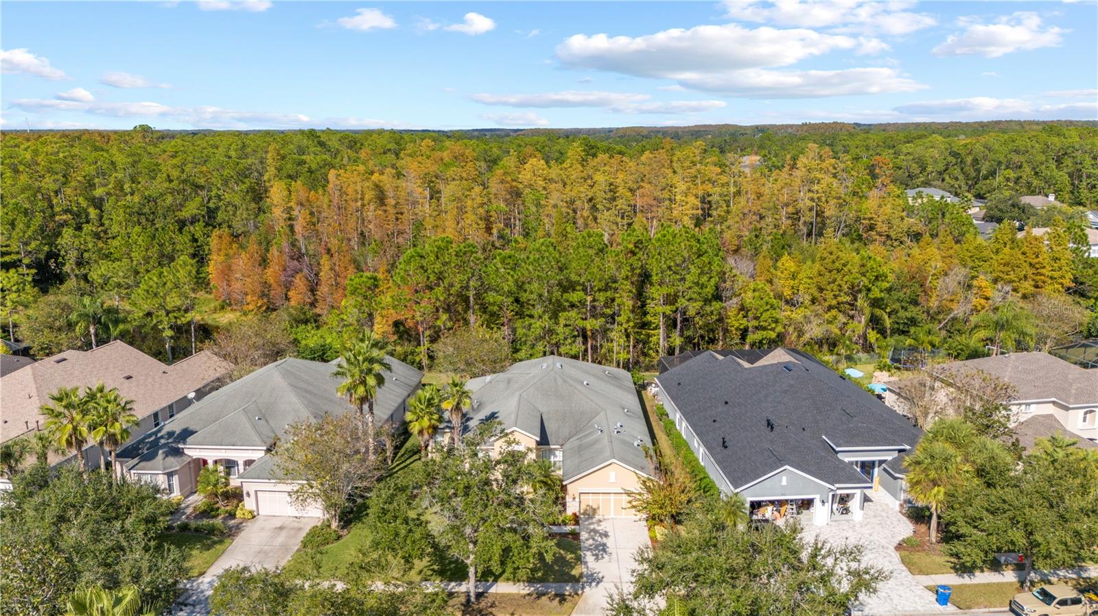 Image 58 of 68 For 12013 Meridian Point Drive