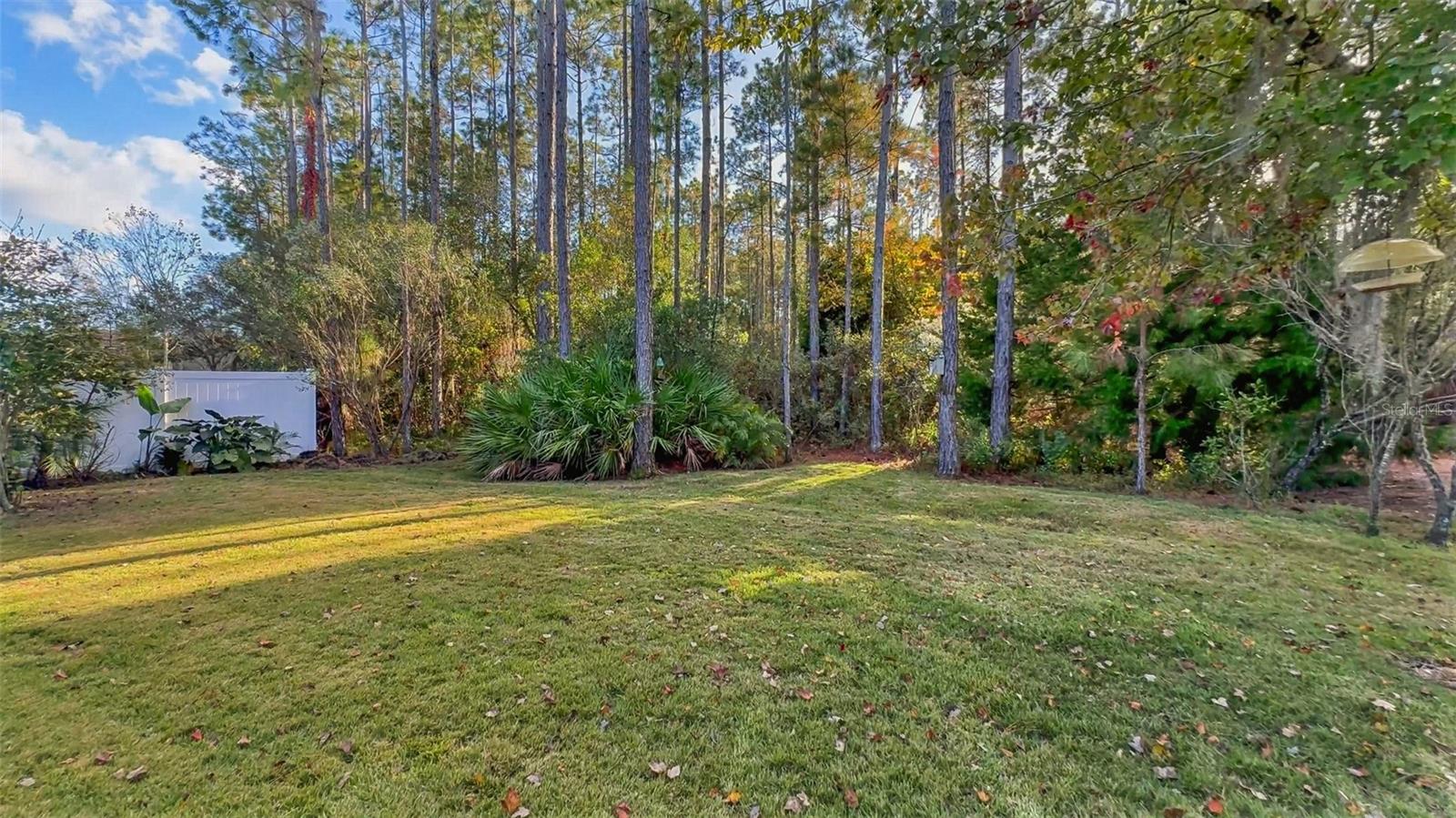 Image 52 of 67 For 187 Appaloosa Avenue