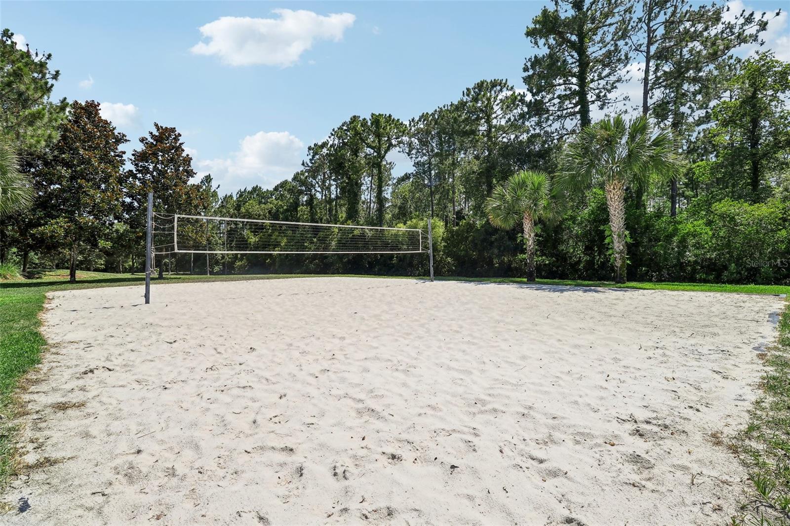 Image 61 of 67 For 187 Appaloosa Avenue