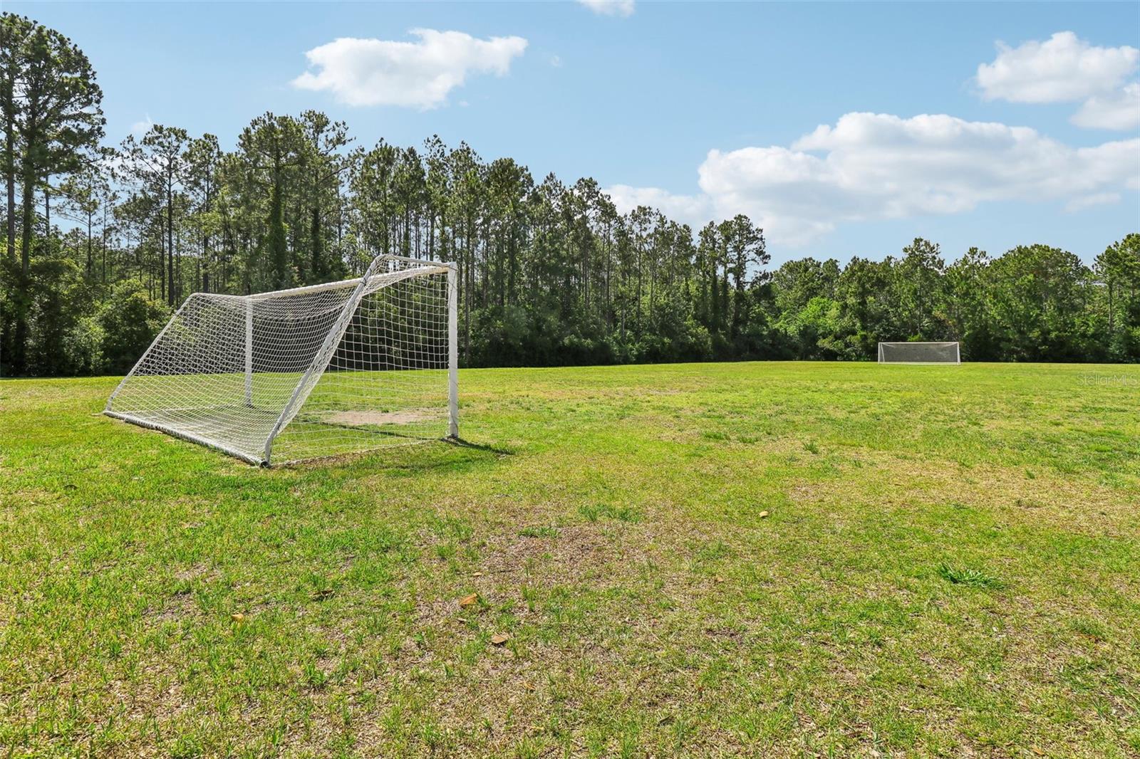 Image 63 of 67 For 187 Appaloosa Avenue