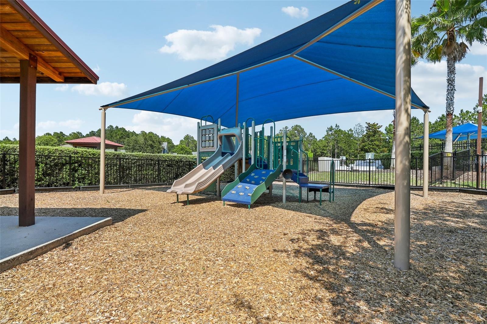 Image 64 of 67 For 187 Appaloosa Avenue