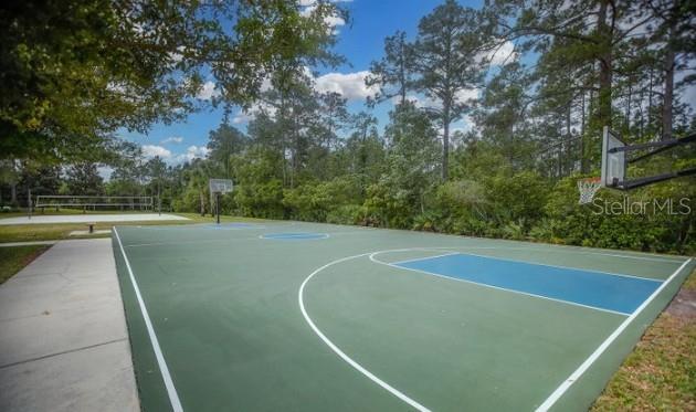 Image 66 of 67 For 187 Appaloosa Avenue