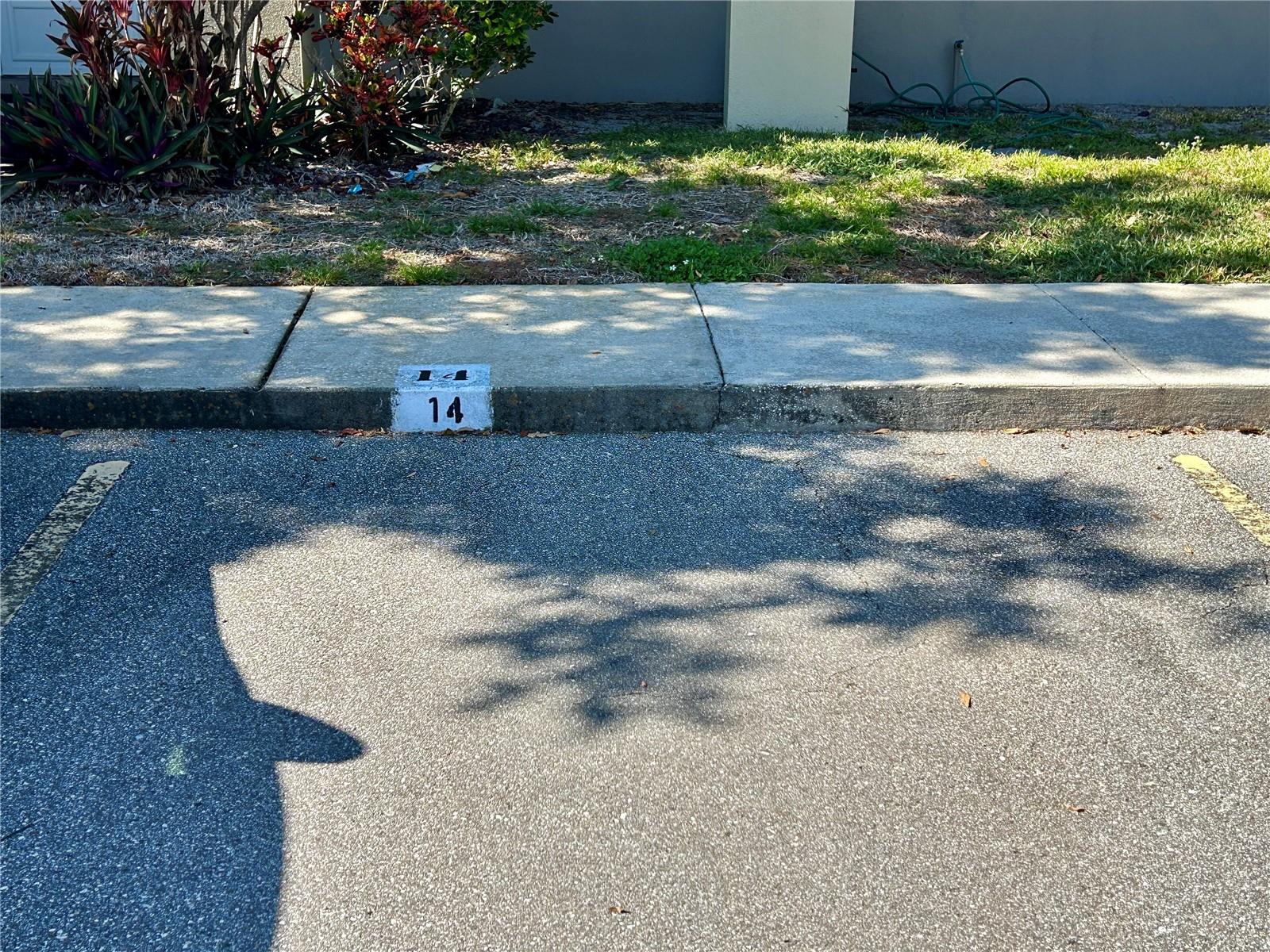 Image 5 of 57 For 2294 Belgian Lane 14