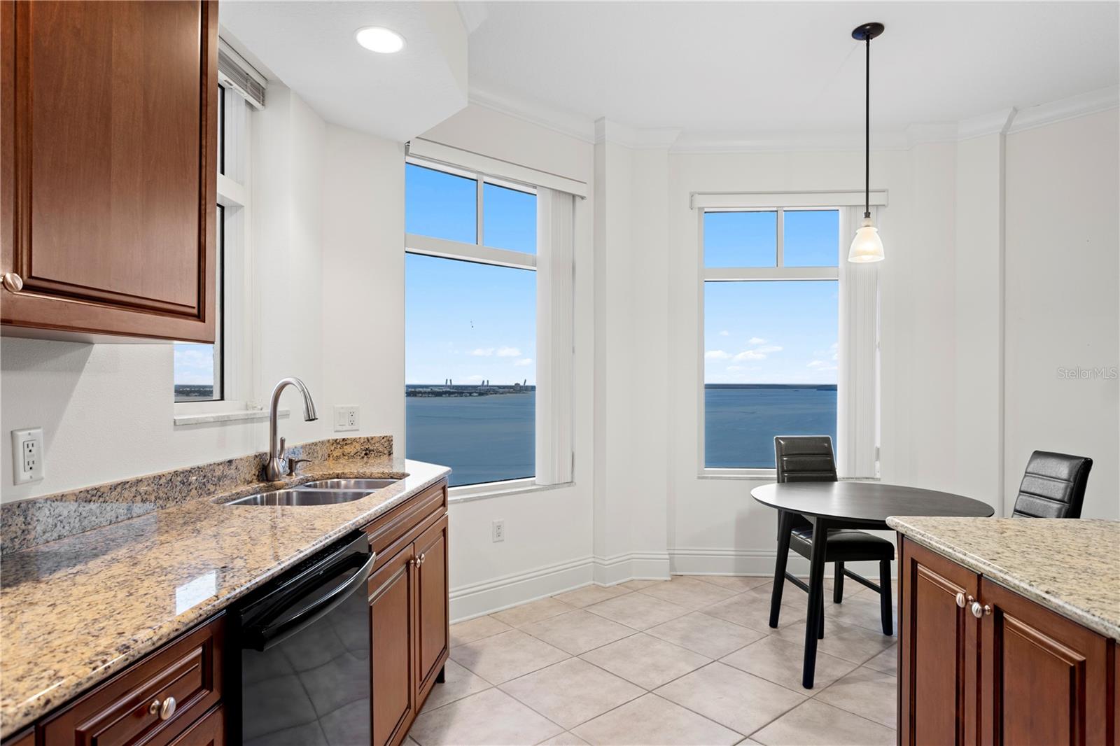 Image 19 of 82 For 4201 Bayshore Boulevard 1902